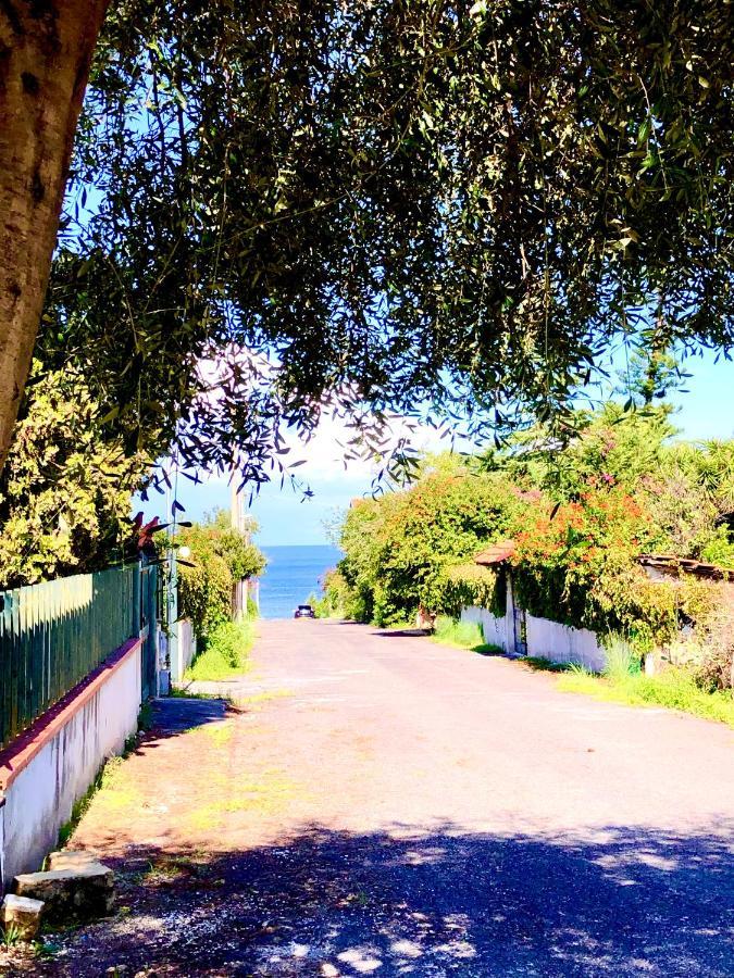 Blu Silence Cottage Augusta Luaran gambar